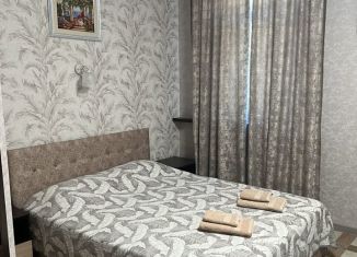 Сдаю квартиру студию, 19 м2, Краснодарский край, улица Фрунзе, 21/2