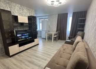 Аренда 3-комнатной квартиры, 60 м2, Санкт-Петербург, Народная улица, 33