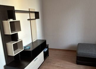 Сдается 1-ком. квартира, 35 м2, Краснодарский край, Российская улица