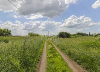 Продаю участок, 8 сот., деревня Зелёное Поле, 52Н-332