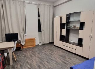 Сдается в аренду 1-ком. квартира, 47 м2, Москва, Казарменный переулок, 8с3, ЦАО