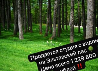 Квартира на продажу студия, 22.4 м2, Дагестан, Благородная улица, 47