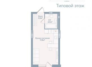 Продажа квартиры студии, 28 м2, Астрахань, Моздокская улица, 40, Советский район