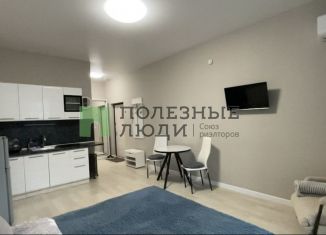 Продается квартира студия, 30 м2, Новороссийск, улица Матвейкина, 1Ак3