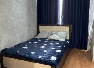 Сдам квартиру студию, 24 м2, Кировск, Новая улица