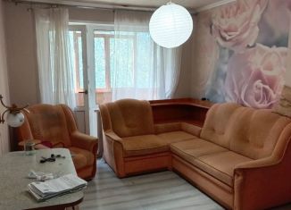 Сдам в аренду 1-ком. квартиру, 30 м2, Нижний Новгород, улица Премудрова, 16к1, микрорайон Красная Этна