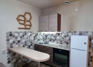 Продам квартиру студию, 22 м2, Новосибирск, Кубовая улица, 113/2