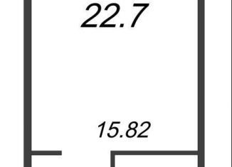 Продаю квартиру студию, 22.7 м2, Санкт-Петербург, метро Ломоносовская, проспект Большевиков, уч3