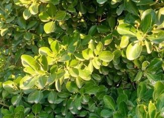 Продается участок, 6.5 сот., Керчь