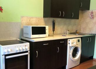 Аренда 2-комнатной квартиры, 63 м2, Екатеринбург, улица Щорса, 109, метро Ботаническая