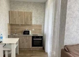 Сдается квартира студия, 30 м2, Тюмень, Дамбовская улица, 29к1