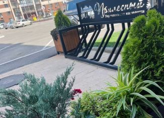 Сдача в аренду 1-комнатной квартиры, 37 м2, Пенза, улица Мира, 63А