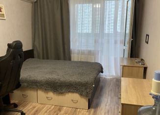 Сдается квартира студия, 29 м2, Ростов-на-Дону, переулок Андреева, 13