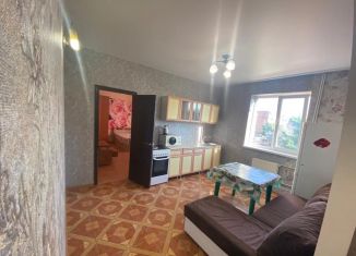 Сдача в аренду 1-комнатной квартиры, 45 м2, Краснодар, улица Леваневского, 67, микрорайон Центральный