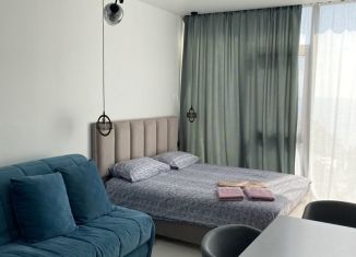 Квартира в аренду студия, 28 м2, Сочи, Депутатская улица, 10Б/1, ЖК Метрополь