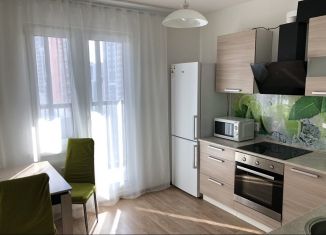 Аренда 2-ком. квартиры, 50 м2, Санкт-Петербург, Парашютная улица, 65