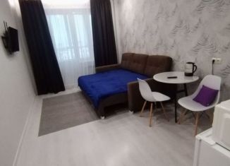 Сдаю квартиру студию, 24 м2, Красноярский край, улица Карамзина, 16