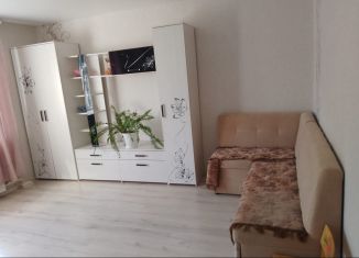 Сдаю однокомнатную квартиру, 33 м2, Сарапул, улица Седельникова, 146