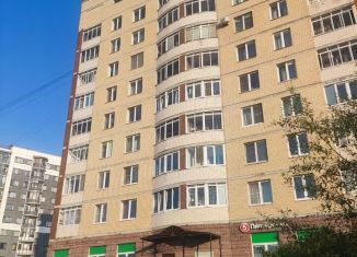 Продаю квартиру студию, 24 м2, Санкт-Петербург, Богатырский проспект, 66к1, метро Зенит