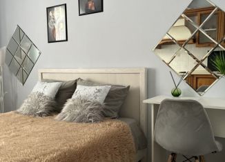 Аренда квартиры студии, 20 м2, Сочи, Клубничная улица, 1/6, микрорайон Новый Сочи