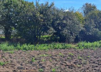 Продается участок, 4 сот., деревня Пекшиксола