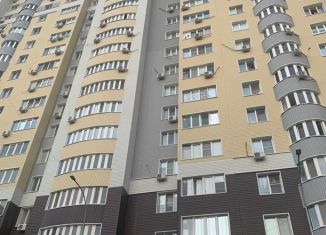 Сдается 1-комнатная квартира, 42.6 м2, Оренбург, проспект Победы, 170