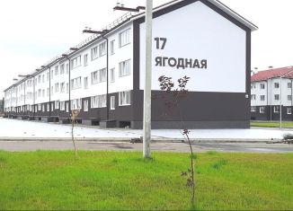 1-комнатная квартира на продажу, 35.7 м2, село Ямное, Ягодная улица, 17