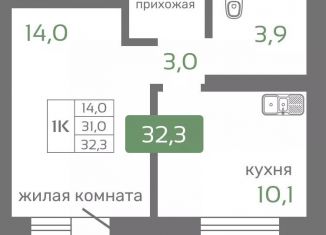 Продажа однокомнатной квартиры, 32.3 м2, Красноярск, Октябрьский район