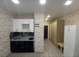 Сдается квартира студия, 20 м2, Новосибирск, улица Виктора Уса, 11