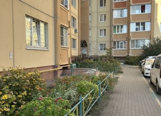 Продажа 1-комнатной квартиры, 39 м2, Воронеж, Междуреченская улица, 1А, Советский район