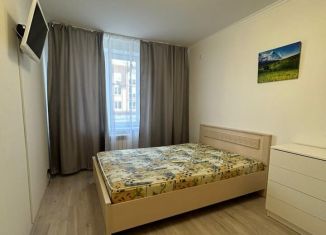 Сдача в аренду 1-ком. квартиры, 30 м2, Калуга, улица Бориса Литвинчука, 12