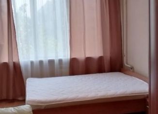 Комната в аренду, 17 м2, Санкт-Петербург, метро Международная, Будапештская улица, 38к5