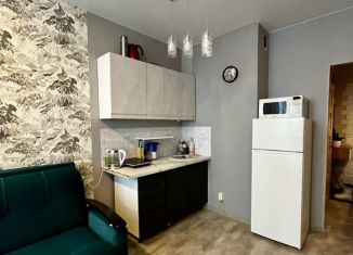 Сдаю квартиру студию, 25 м2, Кудрово, проспект Строителей, 16