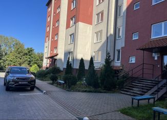 Аренда 1-комнатной квартиры, 42 м2, Светлогорск, Фруктовая улица, 11