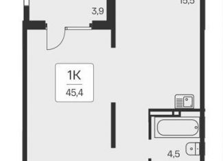 Продается 1-комнатная квартира, 45.4 м2, Новосибирск, метро Заельцовская