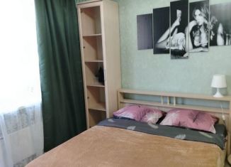 Сдам в аренду квартиру студию, 25 м2, Ногинск, улица Дмитрия Михайлова, 3