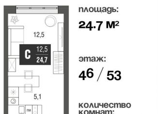 Продаю квартиру студию, 24.5 м2, Москва, проезд Серебрякова, 11-13к1, ЖК Сильвер