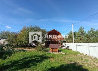 Продаю дом, 40 м2, деревня Беляницы, 3-я Новая улица, 24