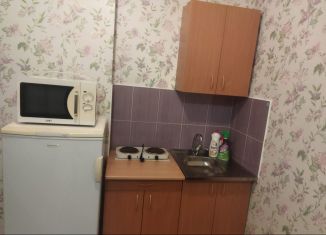 Квартира в аренду студия, 21.3 м2, Новосибирск, улица Виктора Уса