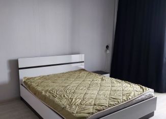 Сдам квартиру студию, 30 м2, Новосибирск, улица Писарева, 125, метро Маршала Покрышкина