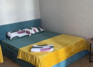 Сдам квартиру студию, 37 м2, Екатеринбург, Павлодарская улица, 5