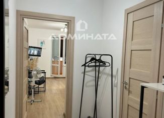 Продам квартиру студию, 25.2 м2, Санкт-Петербург, Плесецкая улица, 16, ЖК Чистое Небо