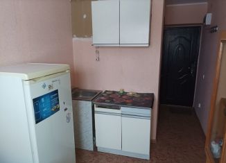 Сдам в аренду квартиру студию, 14 м2, Ижевск, улица Халтурина, 53