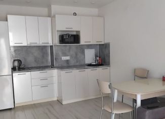 Аренда 1-комнатной квартиры, 40 м2, Анапа, улица Адмирала Пустошкина, 22к3