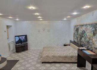 1-ком. квартира в аренду, 60 м2, Иркутск, улица Декабрьских Событий, 44А