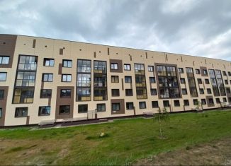 Однокомнатная квартира на продажу, 24.1 м2, деревня Жабкино, микрорайон Булатниково, 7