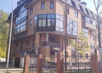 Продам 1-ком. квартиру, 30.3 м2, деревня Бородино, Варшавское шоссе, 79