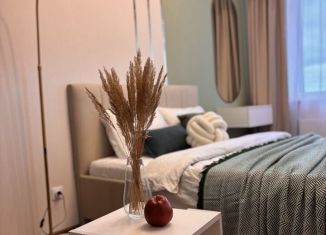 Сдается 1-ком. квартира, 31 м2, Пермь, шоссе Космонавтов, 309А