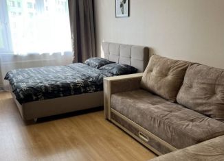 Сдам 1-ком. квартиру, 40 м2, Тюмень, улица Ю.-Р.Г. Эрвье, Центральный округ