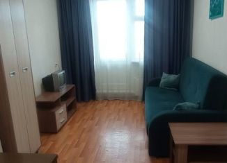 Квартира в аренду студия, 28 м2, Красноярский край, улица Калинина, 15